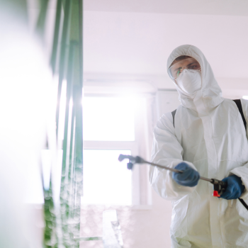 THÁI LAN PHÁT HIỆN VIRUS NIPAH NGUY HIỂM Ở DƠI ĂN QUẢ, TĂNG CƯỜNG SÀNG LỌC DU KHÁCH